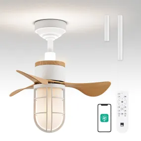 22" Orison Ceiling Fans with LED Lights, Small Ceiling Fan with Remote/APP Control for Patio