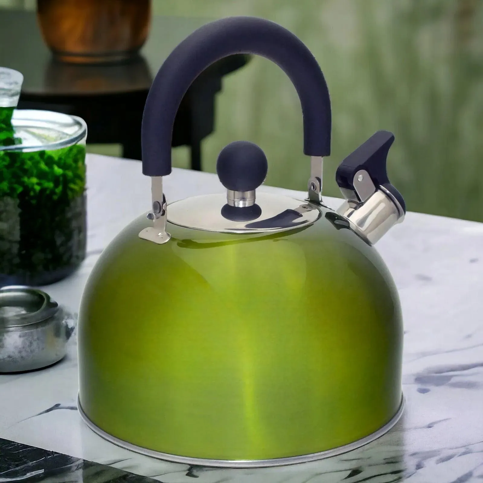 2.5L Metallic Green Stainless Steel Whistling Stovetop Kettle