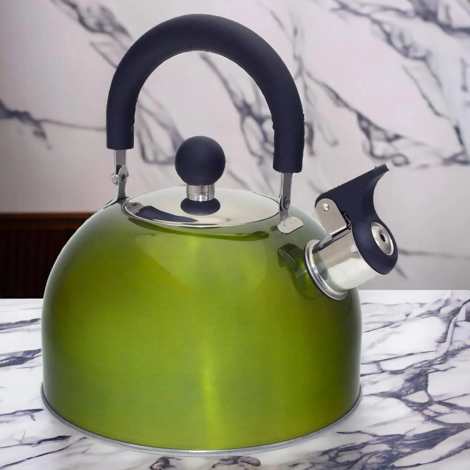 2.5L Metallic Green Stainless Steel Whistling Stovetop Kettle