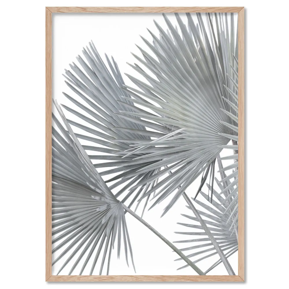 Fan Palm Fronds in Pastel I - Art Print