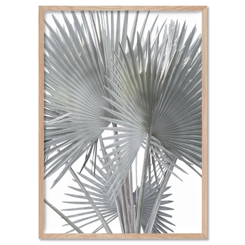 Fan Palm Fronds in Pastel II - Art Print