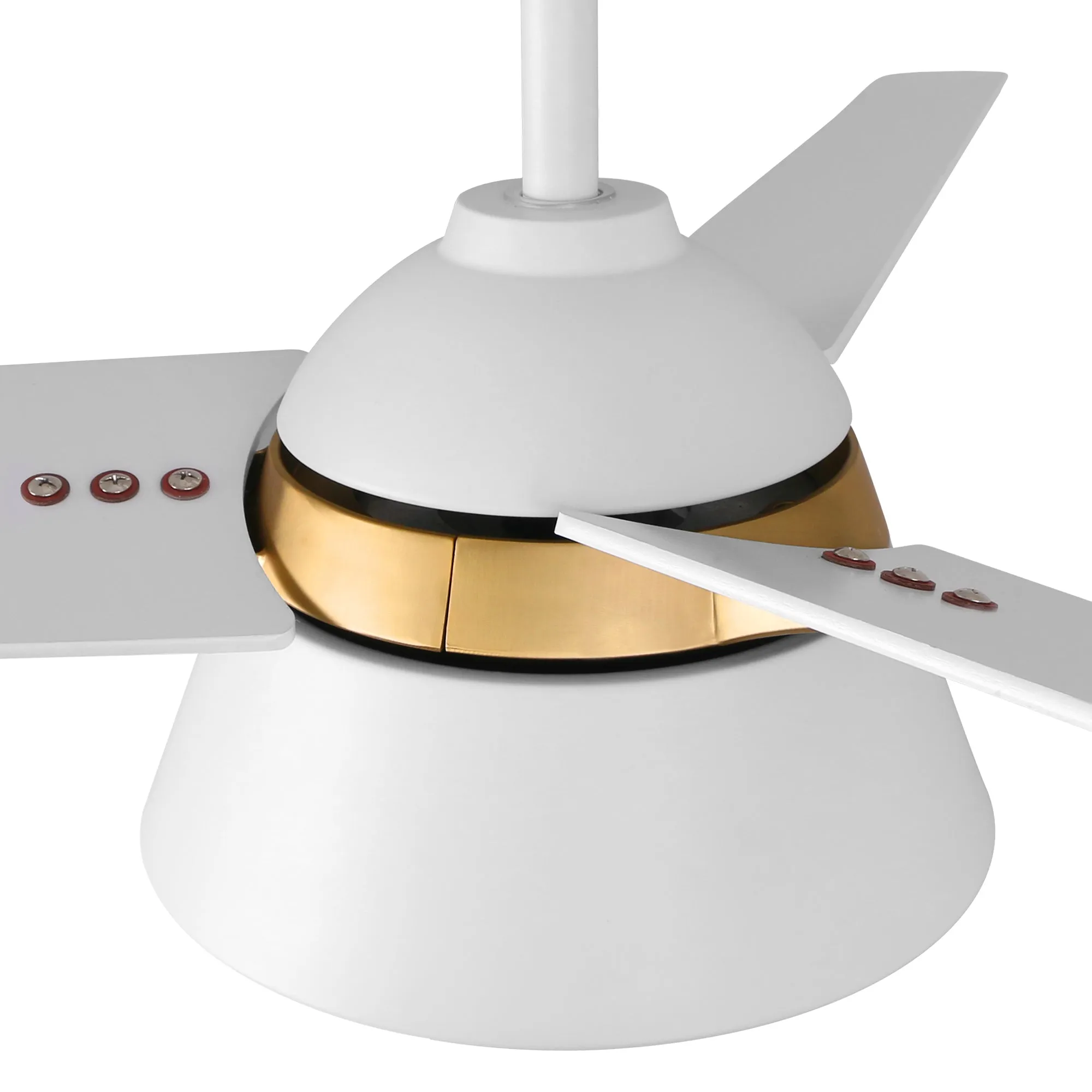 KENORA 48 inch 3-Blade Ceiling Fan with LED Light Kit & Remote Control - White/White (Gold Detail)