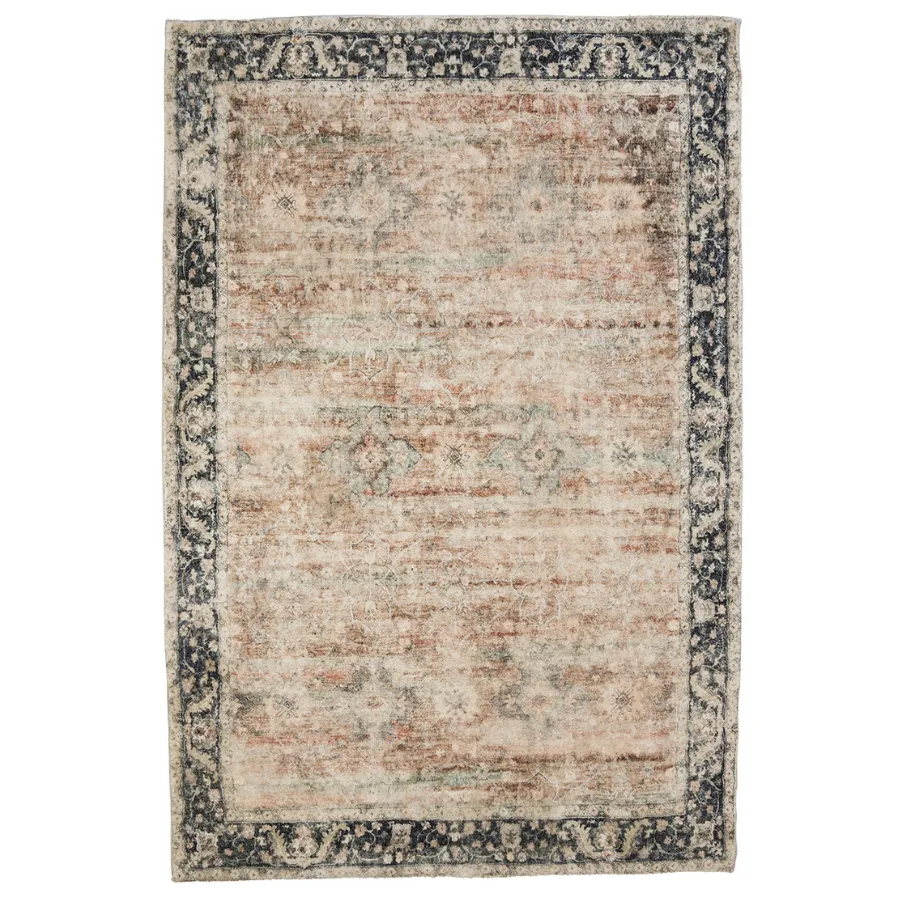 Rann Multicolour Traditional Distressed Area Rug