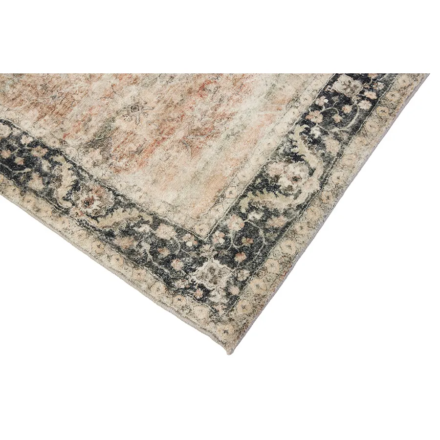 Rann Multicolour Traditional Distressed Area Rug