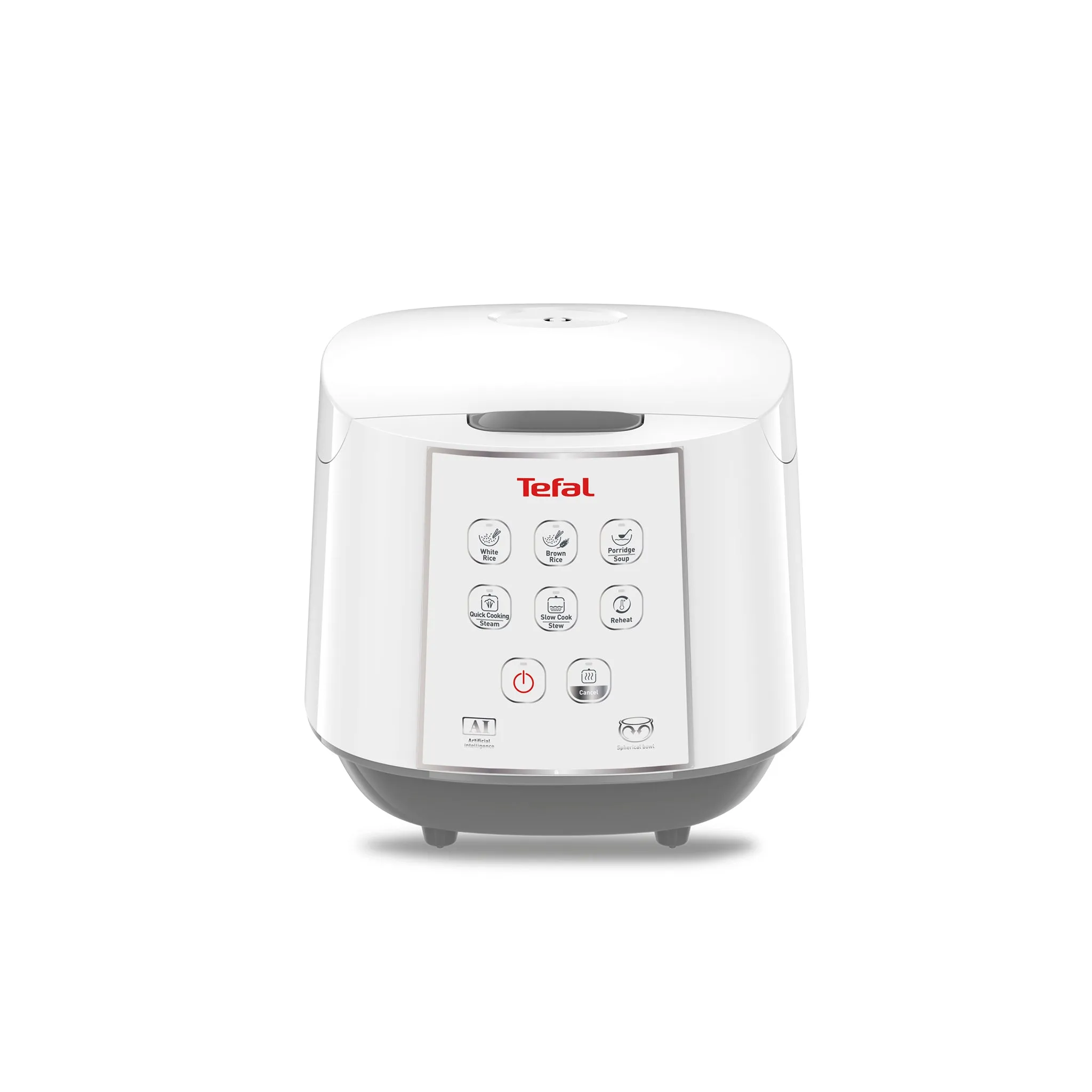 RK732167 10CUPS TEFAL EASY RICE COOKER